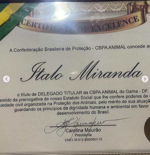 Publicação